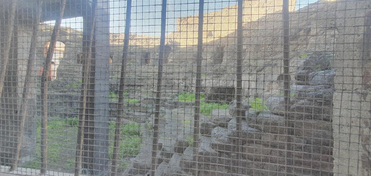 Ferienwohnung Domus Odeon La Casa Nel Parco Archeologico Di CTA Exterior foto